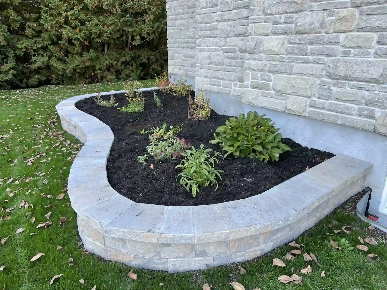 Curved stone garden wall bed with mulch against a house